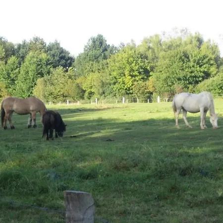 Apartament Wolkenlos 7 - Wolke 7